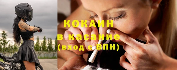 индика Михайлов