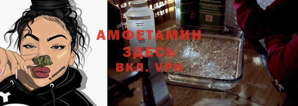 индика Михайлов