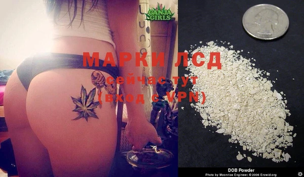 сатива Михайловка